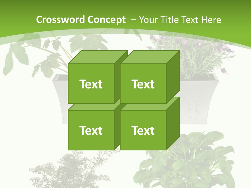 Plant Drug Remedy PowerPoint Template