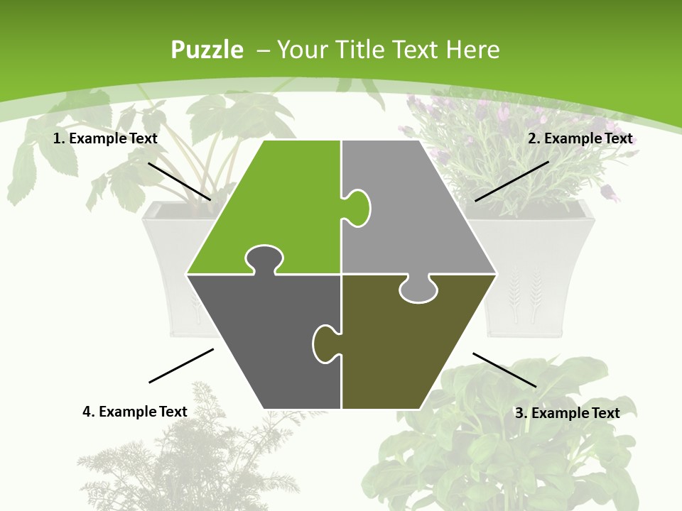 Plant Drug Remedy PowerPoint Template