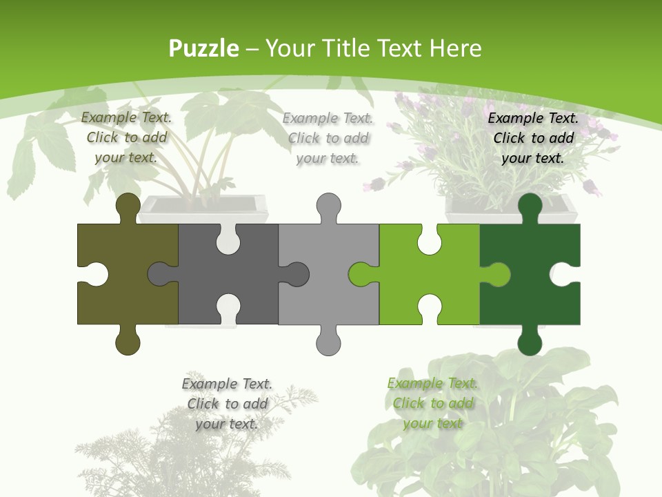 Plant Drug Remedy PowerPoint Template