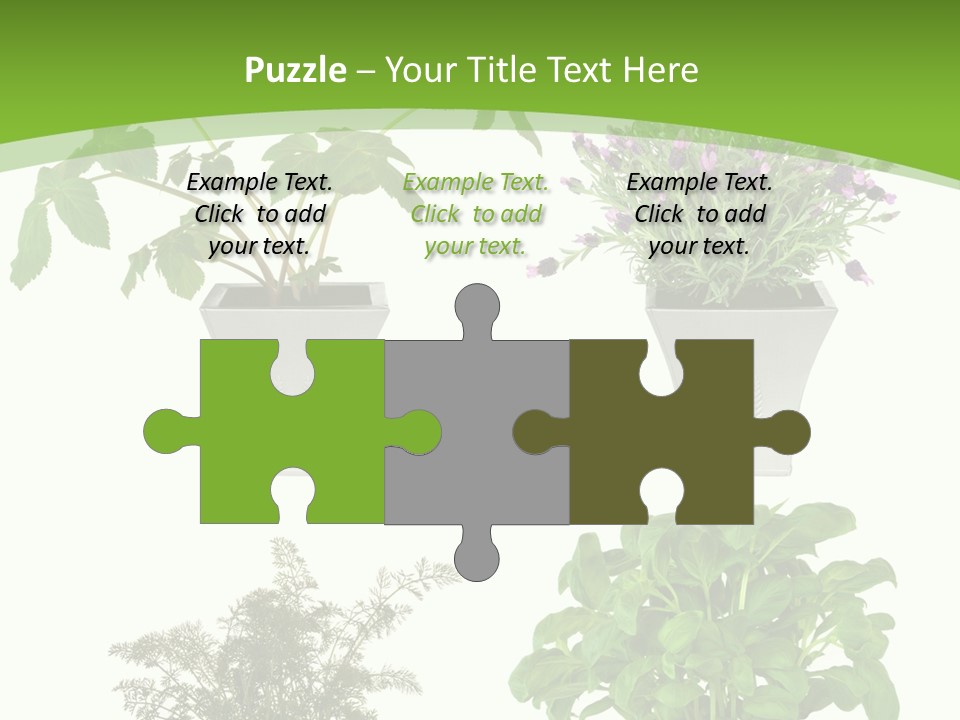 Plant Drug Remedy PowerPoint Template