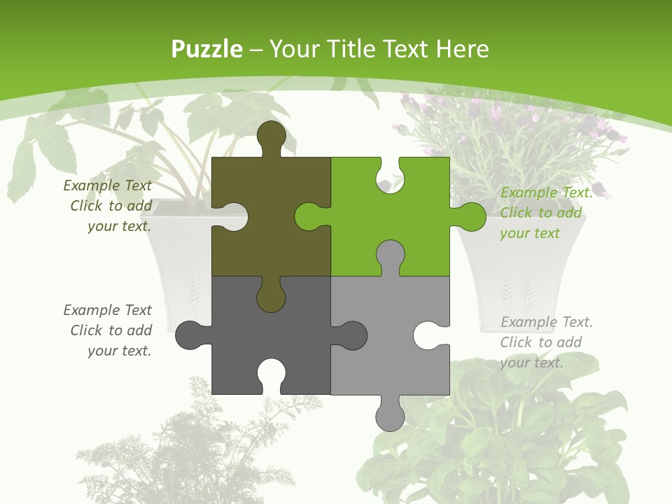 Plant Drug Remedy PowerPoint Template