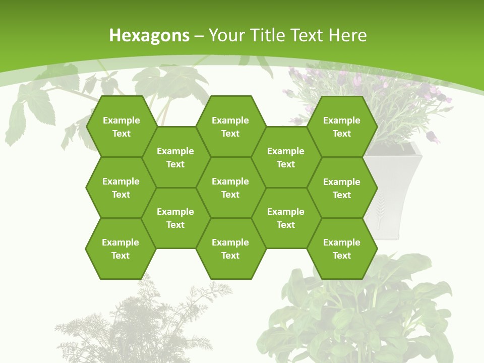 Plant Drug Remedy PowerPoint Template