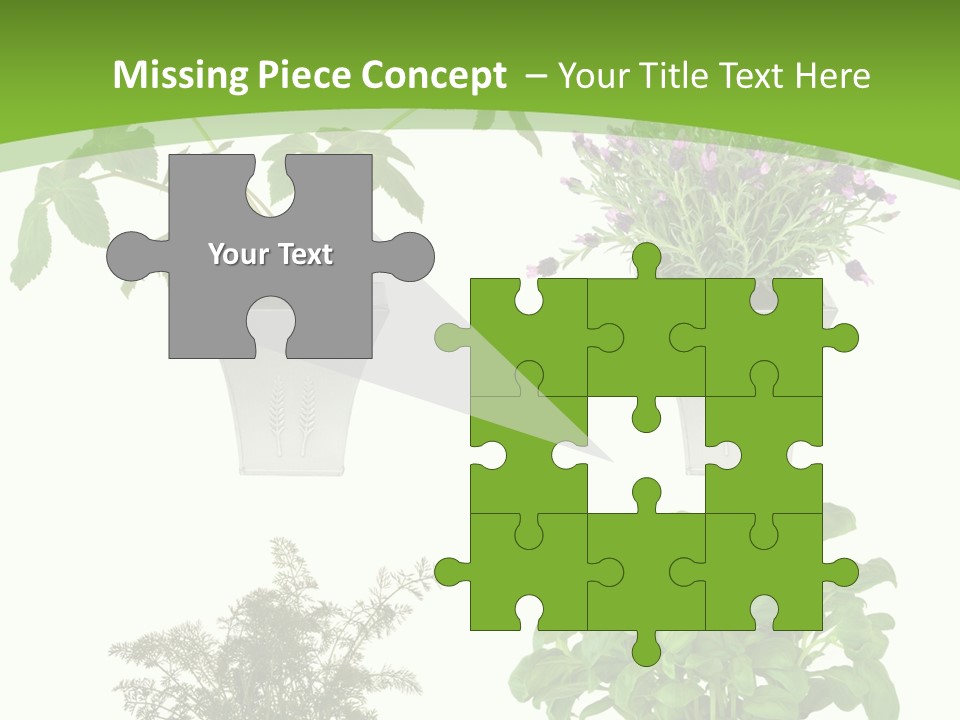 Plant Drug Remedy PowerPoint Template