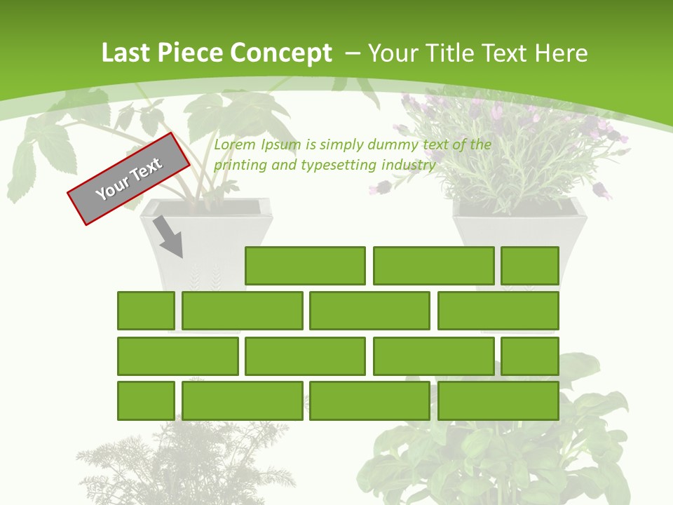 Plant Drug Remedy PowerPoint Template