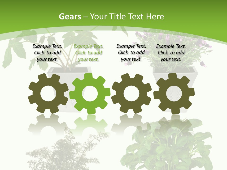 Plant Drug Remedy PowerPoint Template