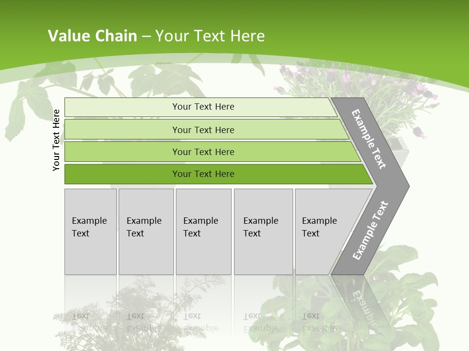 Plant Drug Remedy PowerPoint Template