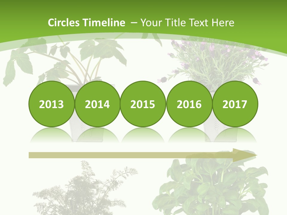 Plant Drug Remedy PowerPoint Template