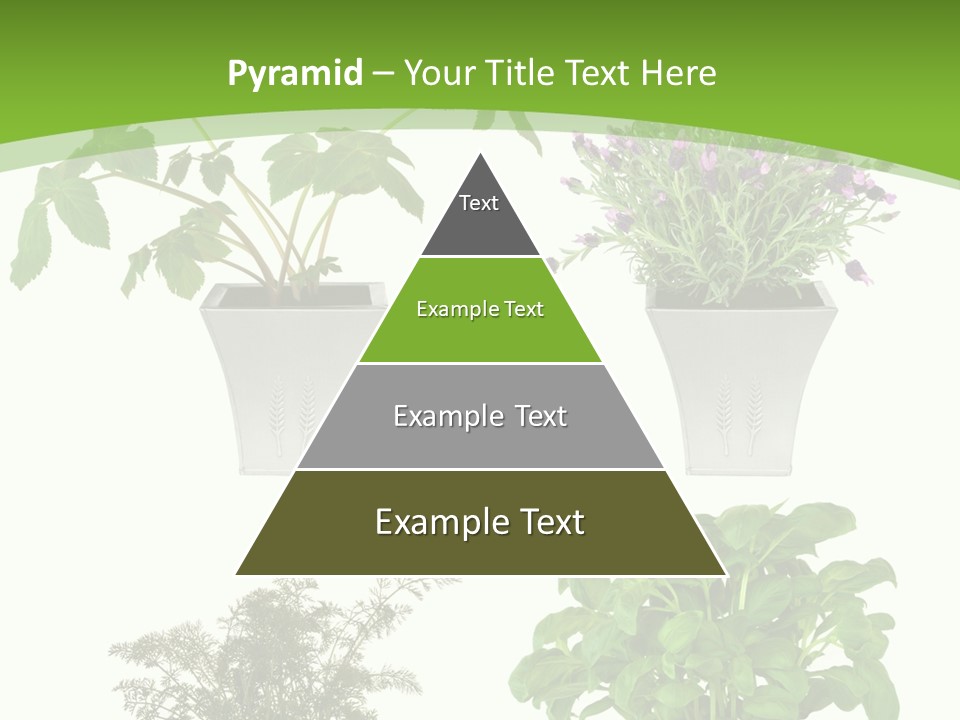 Plant Drug Remedy PowerPoint Template