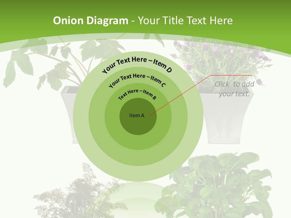 Plant Drug Remedy PowerPoint Template