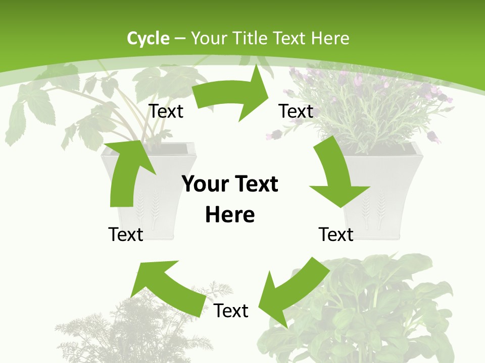 Plant Drug Remedy PowerPoint Template