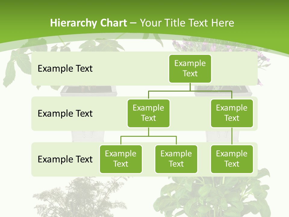 Plant Drug Remedy PowerPoint Template