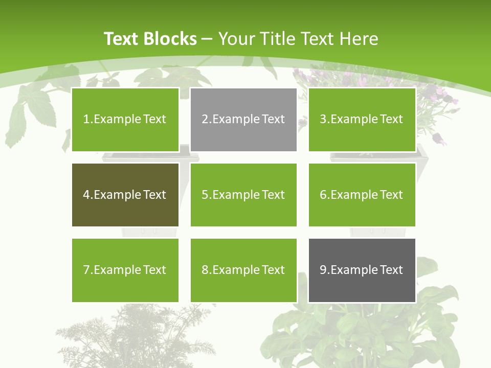 Plant Drug Remedy PowerPoint Template