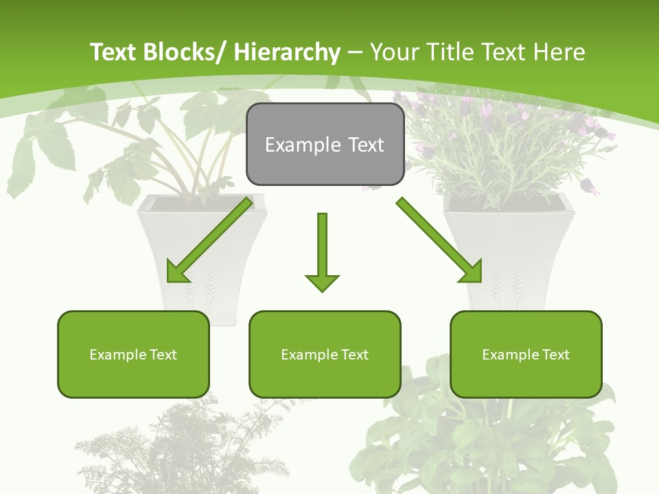 Plant Drug Remedy PowerPoint Template