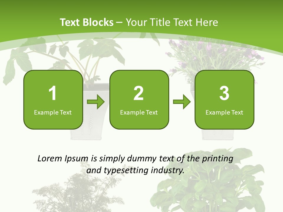 Plant Drug Remedy PowerPoint Template