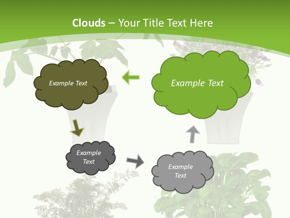 Plant Drug Remedy PowerPoint Template