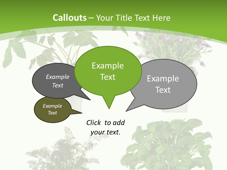 Plant Drug Remedy PowerPoint Template