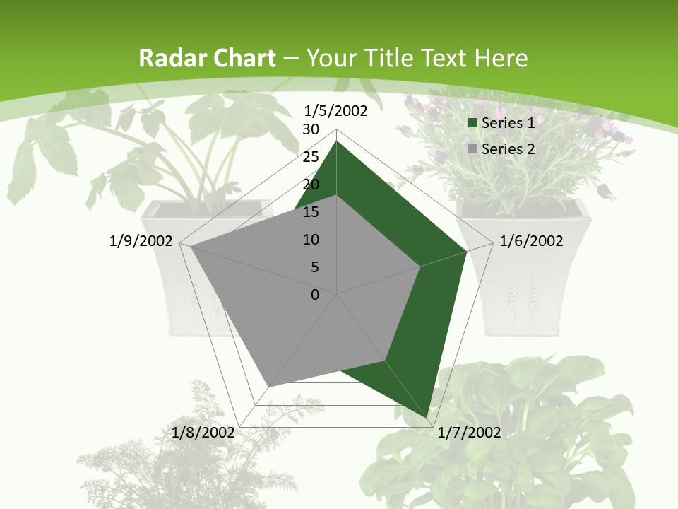 Plant Drug Remedy PowerPoint Template