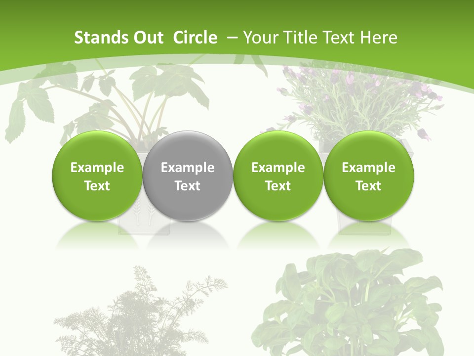 Plant Drug Remedy PowerPoint Template