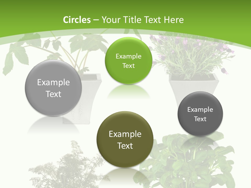 Plant Drug Remedy PowerPoint Template