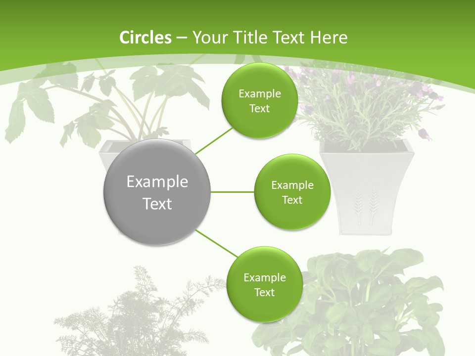 Plant Drug Remedy PowerPoint Template