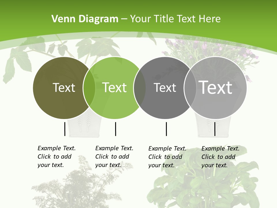 Plant Drug Remedy PowerPoint Template