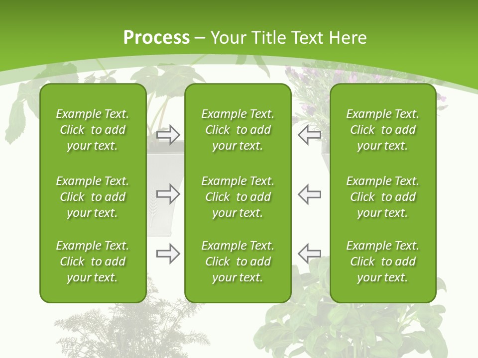 Plant Drug Remedy PowerPoint Template