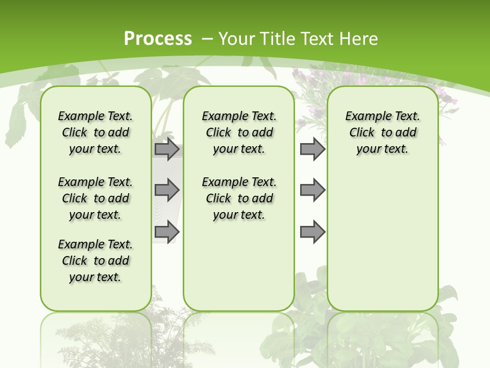 Plant Drug Remedy PowerPoint Template