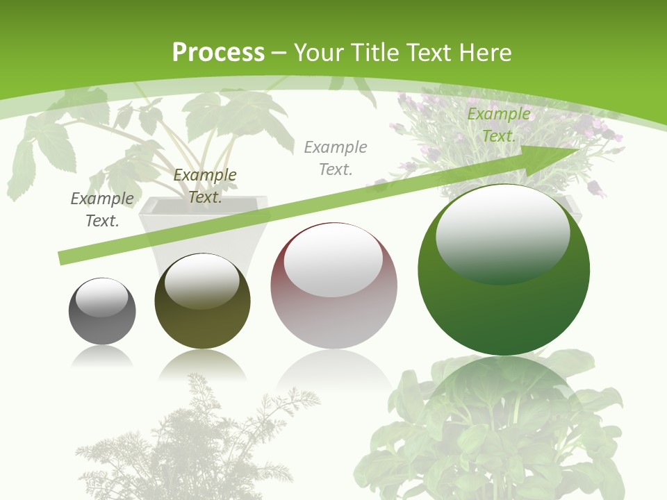 Plant Drug Remedy PowerPoint Template