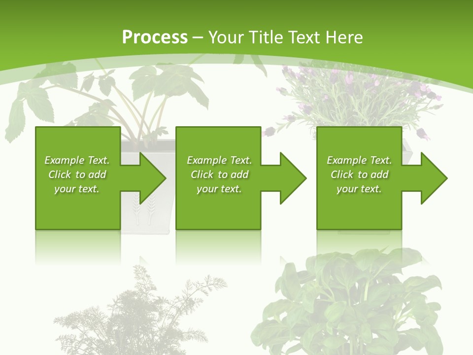 Plant Drug Remedy PowerPoint Template
