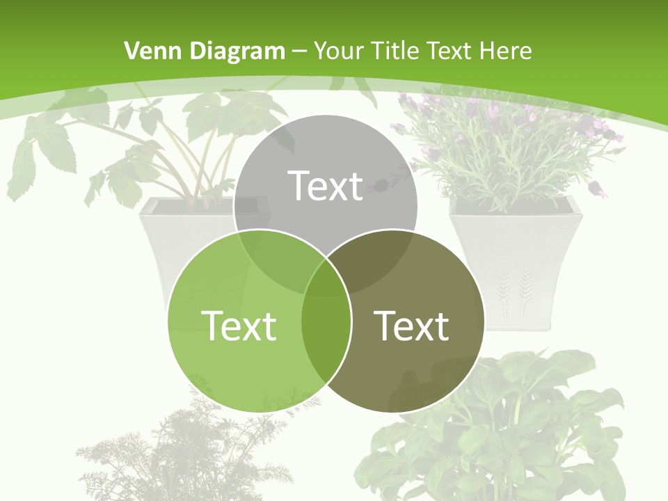 Plant Drug Remedy PowerPoint Template