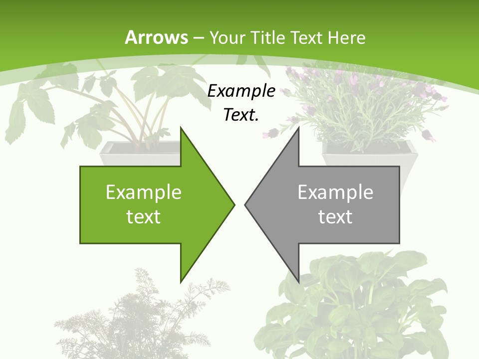 Plant Drug Remedy PowerPoint Template