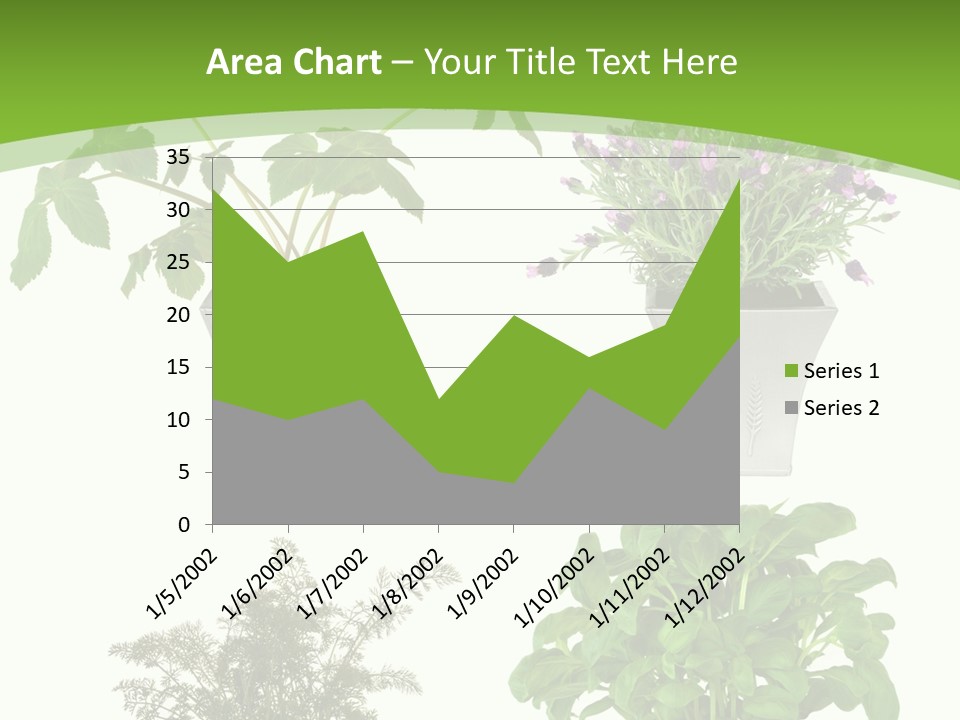 Plant Drug Remedy PowerPoint Template