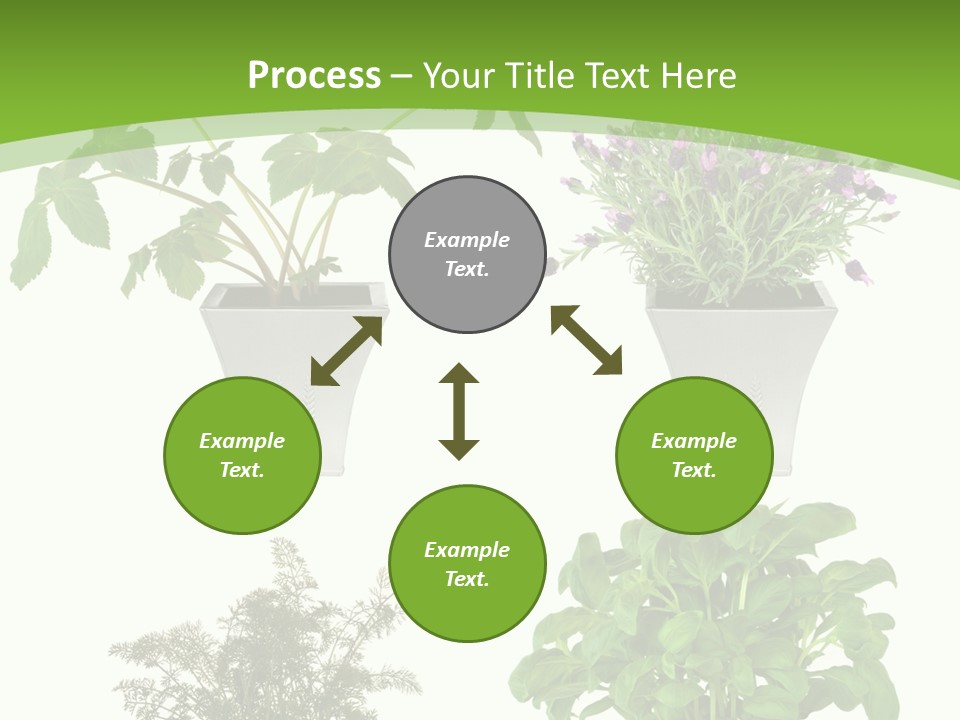 Plant Drug Remedy PowerPoint Template