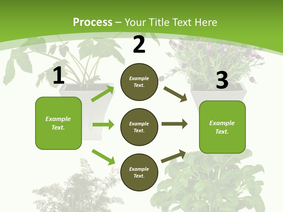 Plant Drug Remedy PowerPoint Template