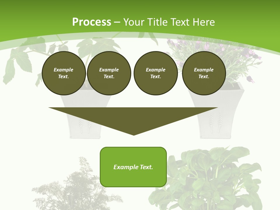 Plant Drug Remedy PowerPoint Template