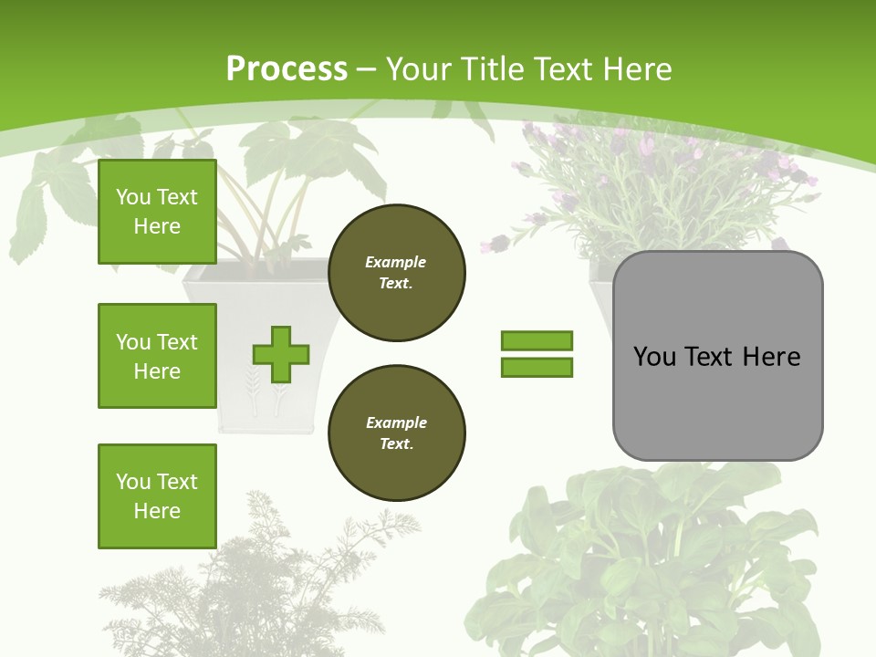 Plant Drug Remedy PowerPoint Template
