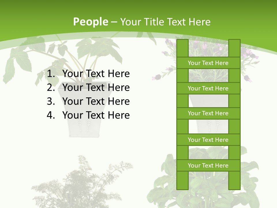 Plant Drug Remedy PowerPoint Template