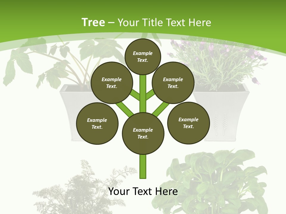 Plant Drug Remedy PowerPoint Template