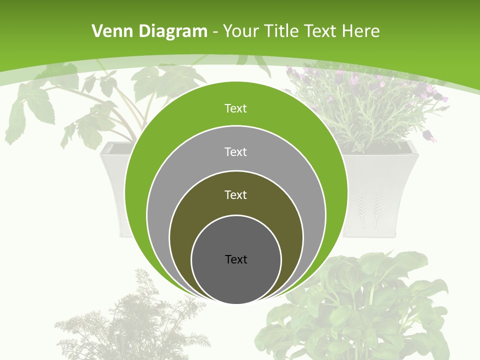 Plant Drug Remedy PowerPoint Template
