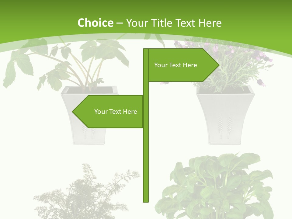 Plant Drug Remedy PowerPoint Template