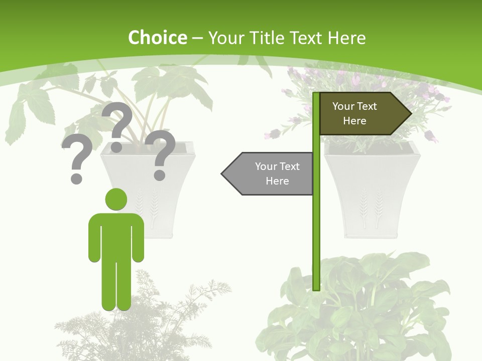 Plant Drug Remedy PowerPoint Template