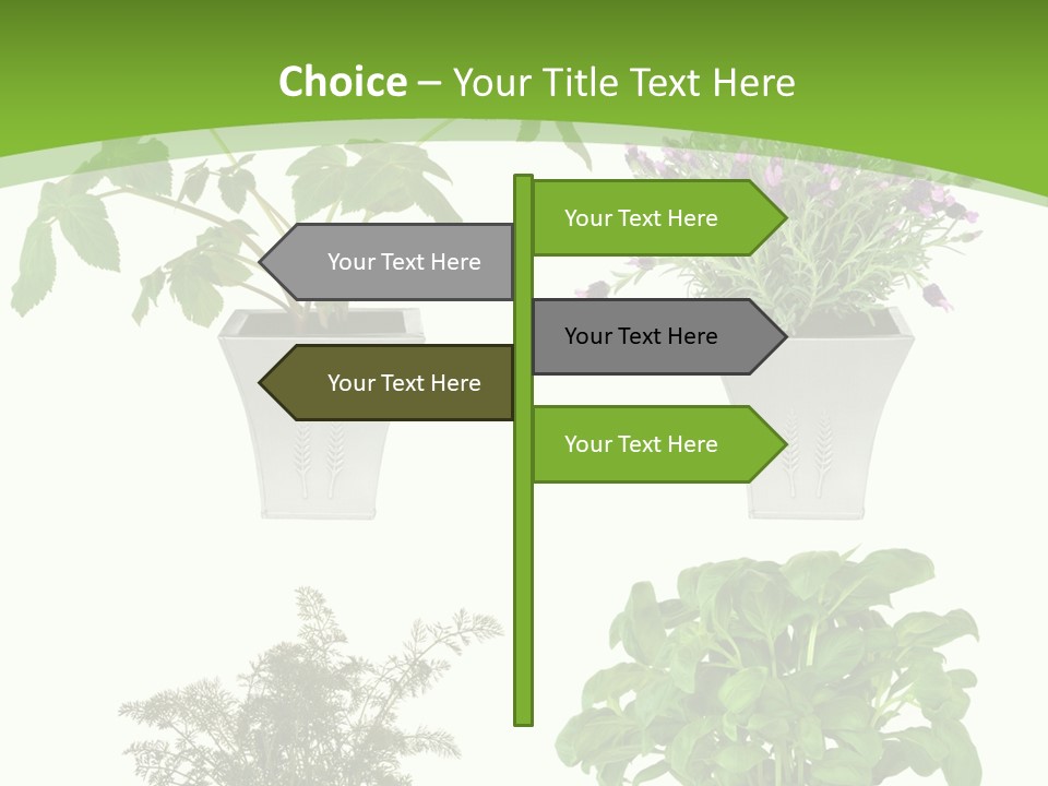 Plant Drug Remedy PowerPoint Template