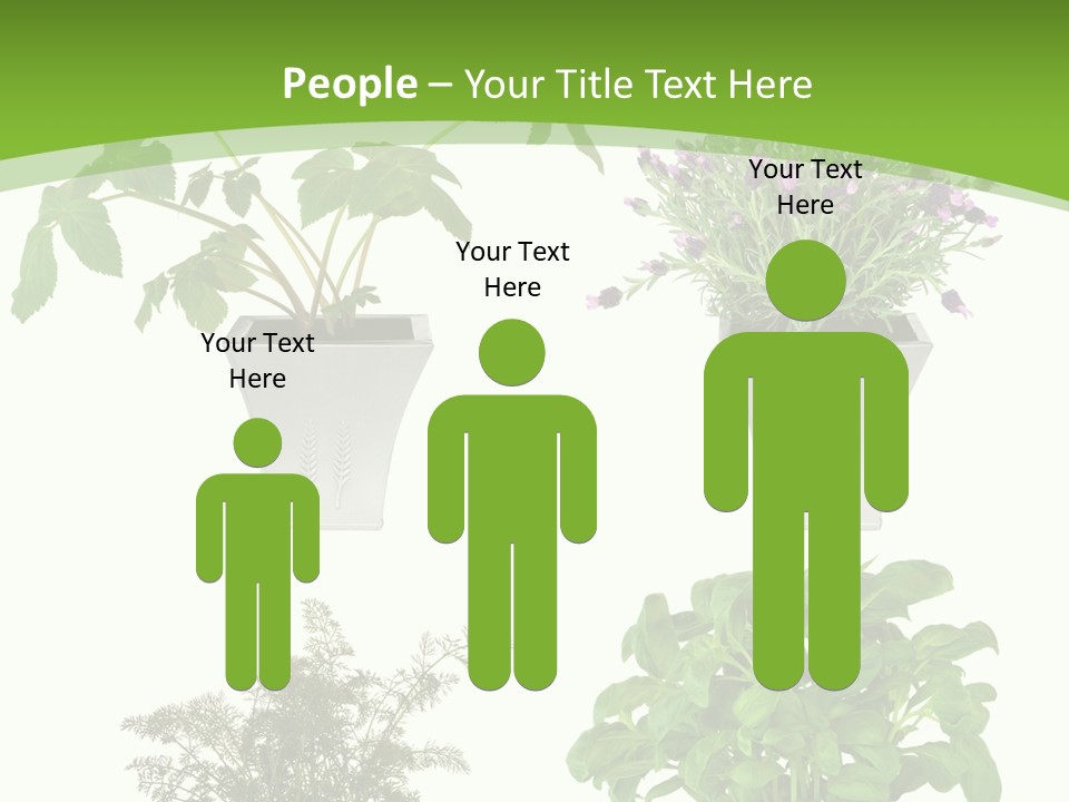 Plant Drug Remedy PowerPoint Template