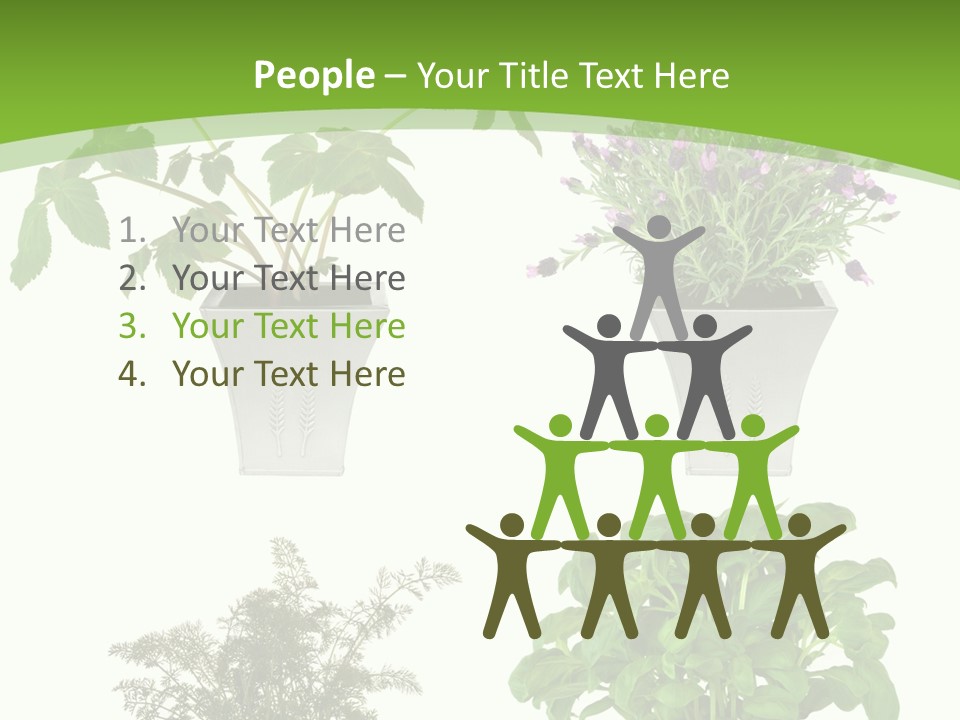 Plant Drug Remedy PowerPoint Template