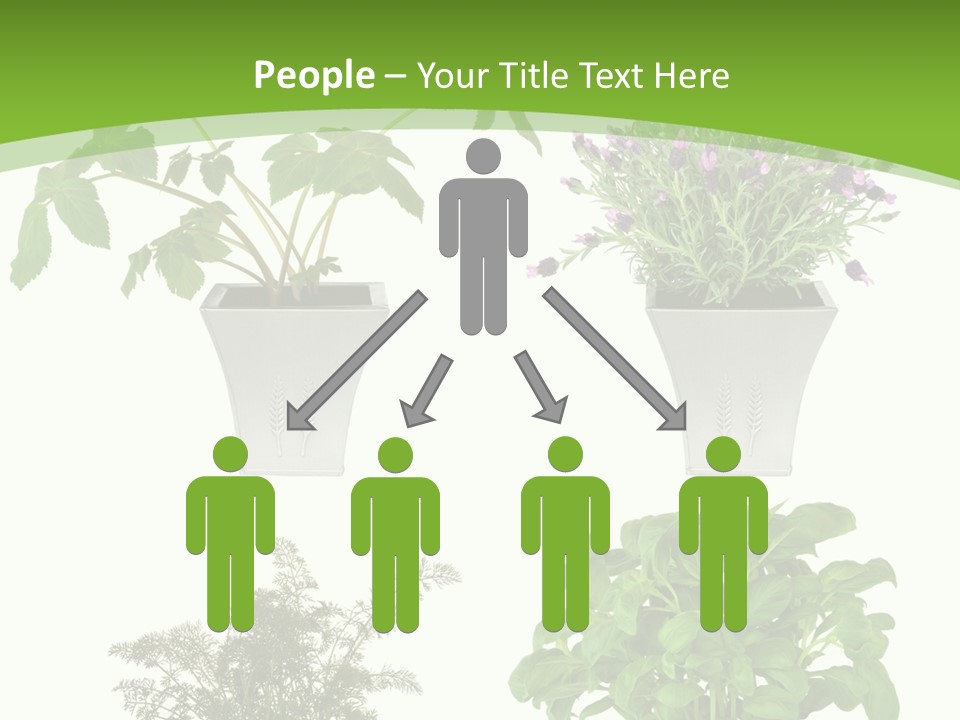 Plant Drug Remedy PowerPoint Template