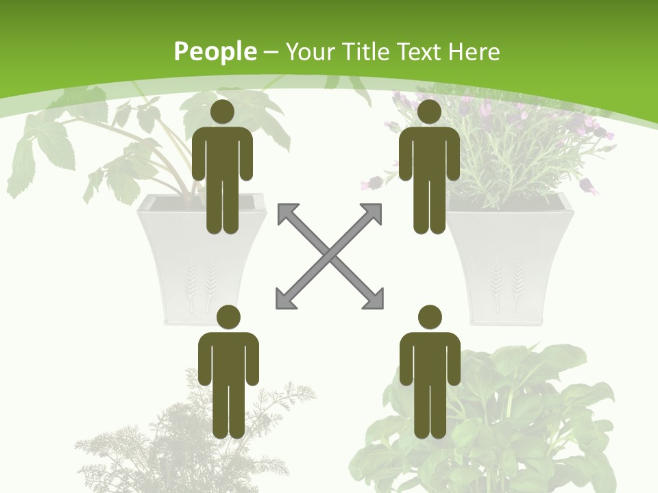 Plant Drug Remedy PowerPoint Template