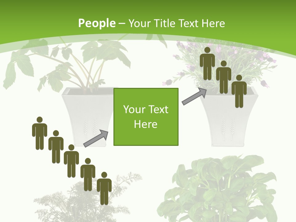 Plant Drug Remedy PowerPoint Template