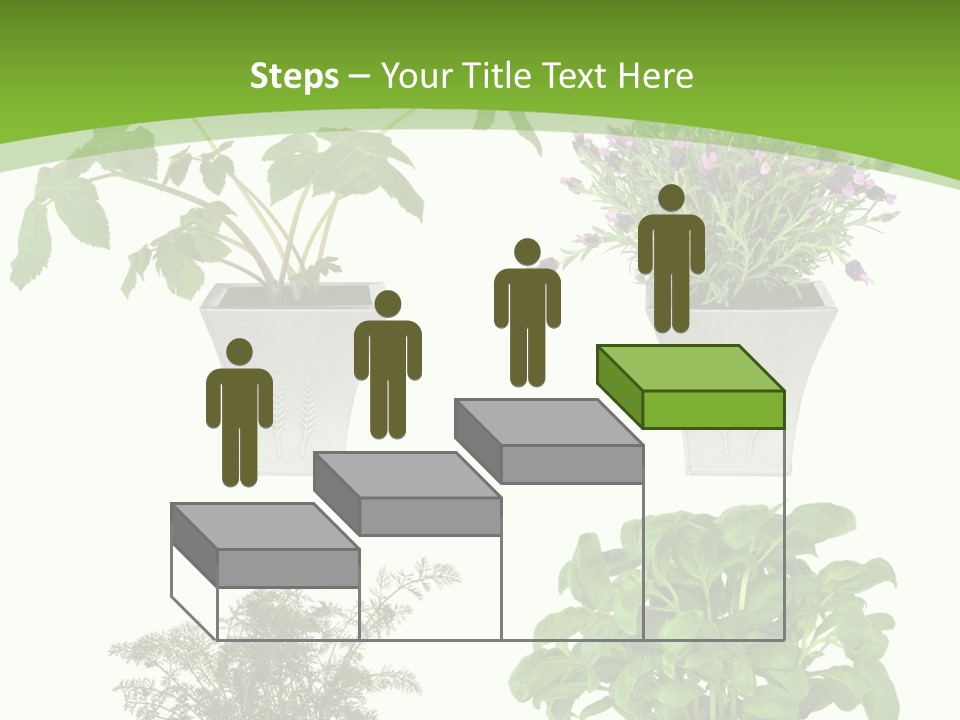 Plant Drug Remedy PowerPoint Template