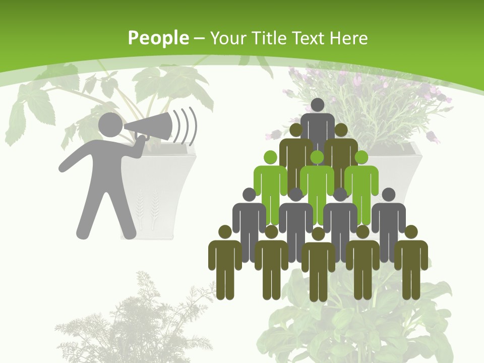 Plant Drug Remedy PowerPoint Template