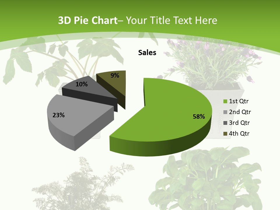 Plant Drug Remedy PowerPoint Template